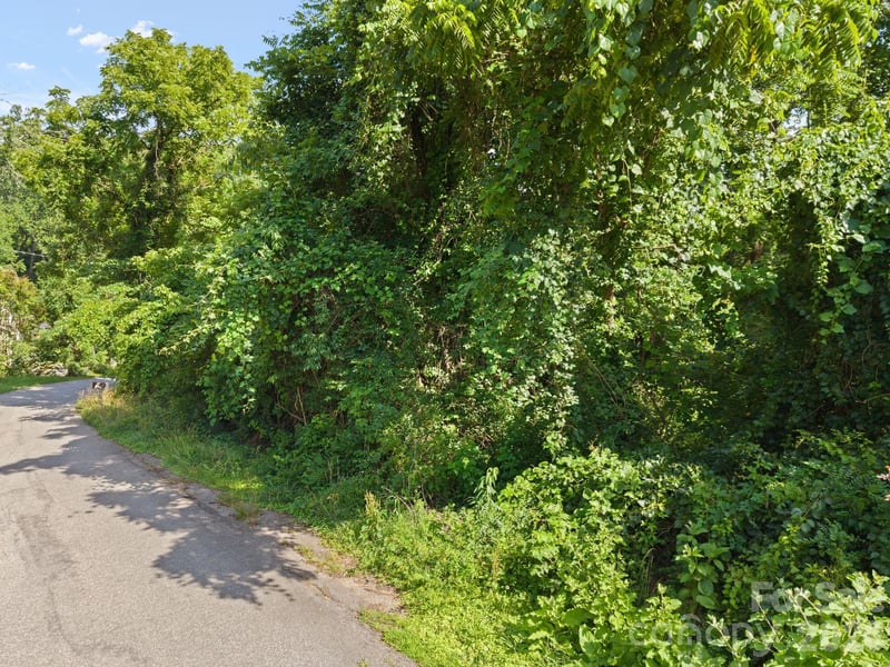 75 Green Oak Rd, Asheville, NC 28804