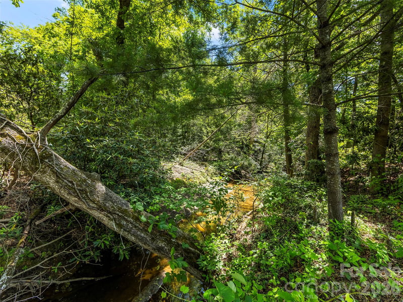 742 Hiawassee Ave, Black Mountain, NC 28711