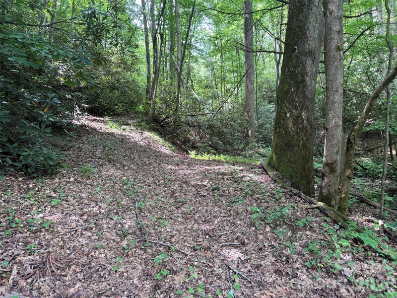 10A Reserve Rd, Brevard, NC 28768