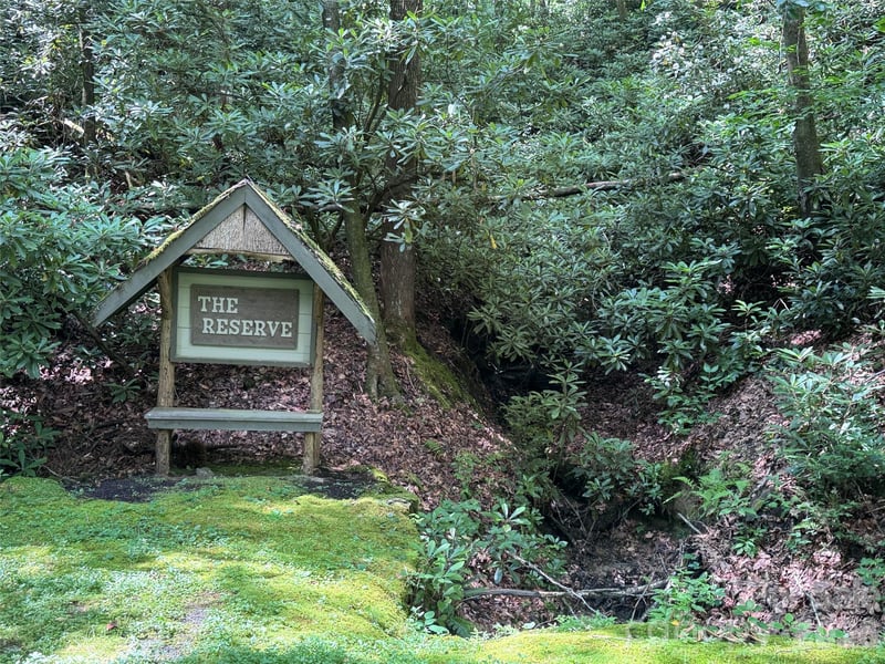10A Reserve Rd, Brevard, NC 28768