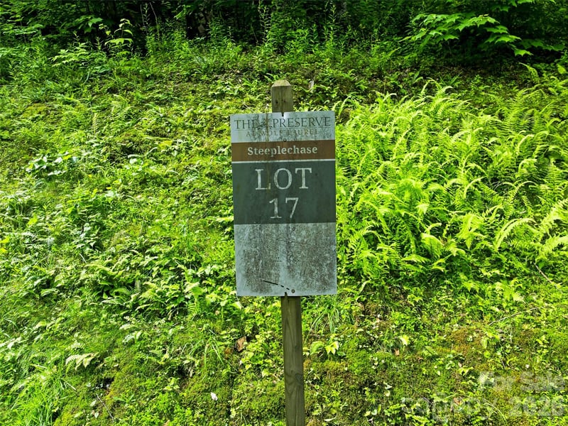 17 Mountain Gait Dr #17, Mars Hill, NC 28754