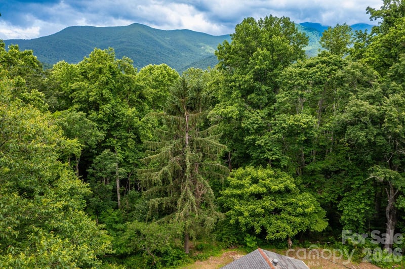 191 Walkertown Rd, Black Mountain, NC 28711