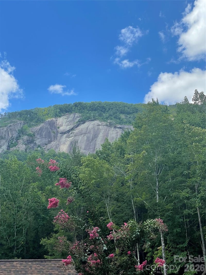 282 Quail Ridge Rd, Lake Lure, NC 28746