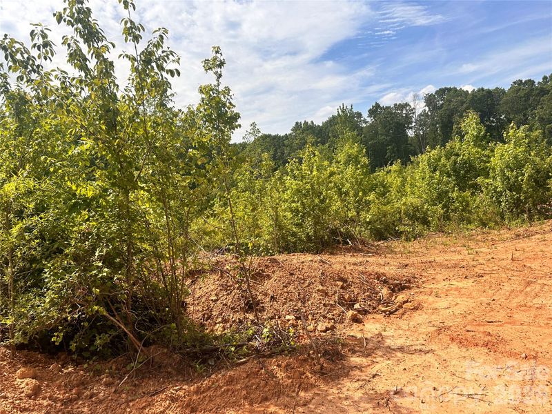 0001 Bolton Rd, Catawba, NC 28609