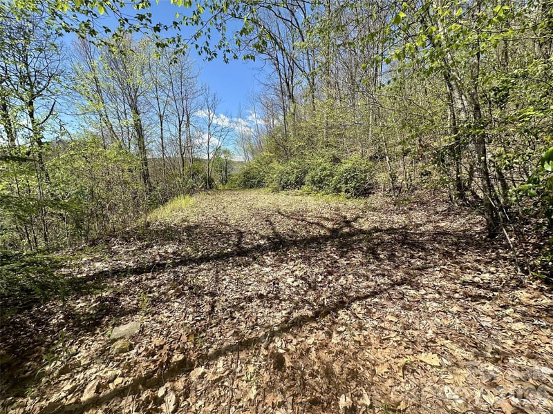 00 Aquina Mountain #H, Maggie Valley, NC 28751