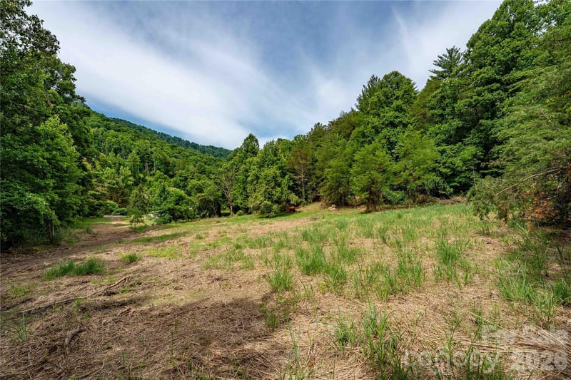 9999 Morgan Branch Rd, Weaverville, NC 28787