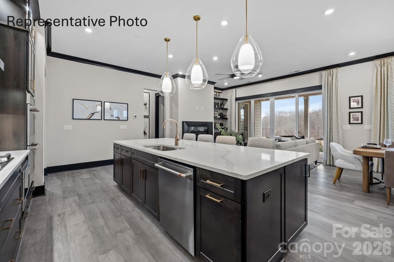 451 Pitch Pine St, Fort Mill, SC 29715