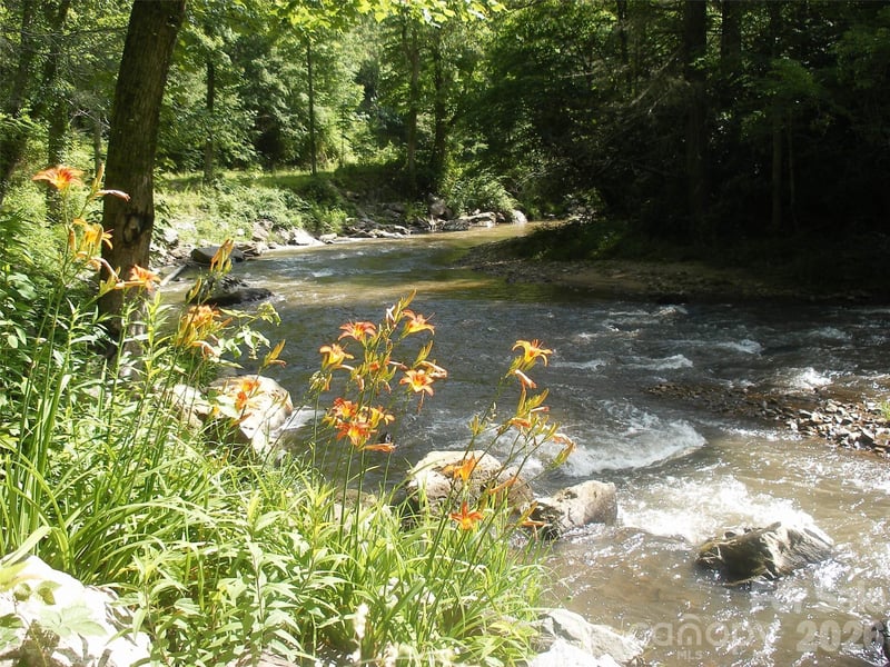 TBD Bear River Lodge Rd #123, Marshall, NC 28753