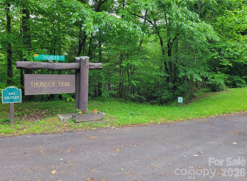 TBD Bear River Lodge Rd #123, Marshall, NC 28753