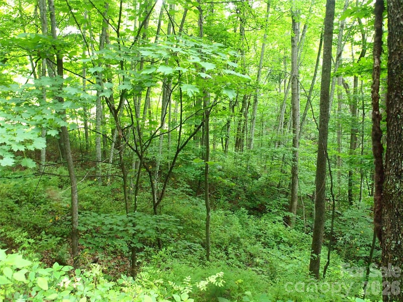 00 Sage Ln #4, Waynesville, NC 28785