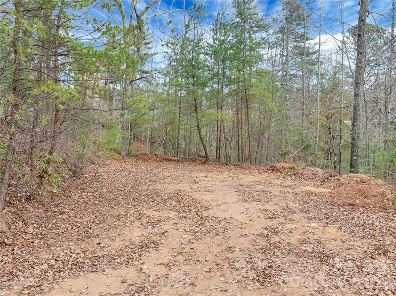 TBD Deep Woods Ln #102, Saluda, NC 28773