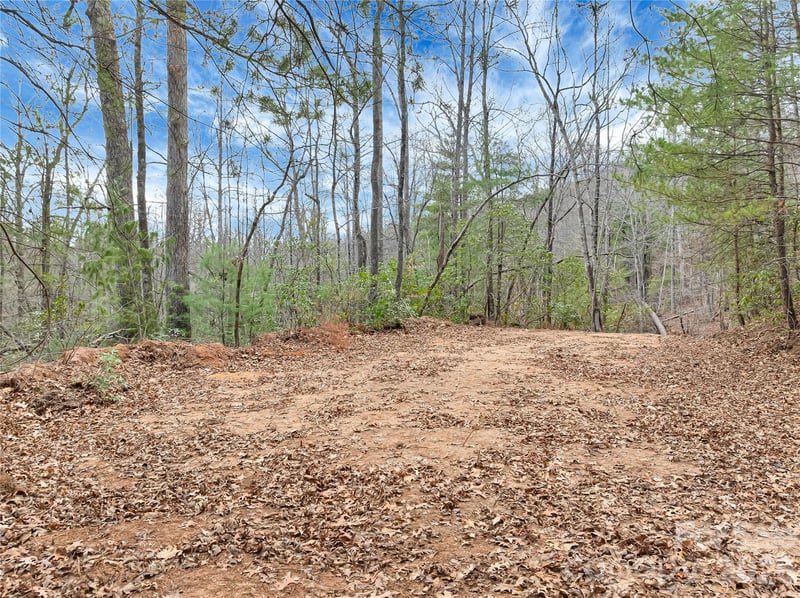 TBD Deep Woods Ln #102, Saluda, NC 28773