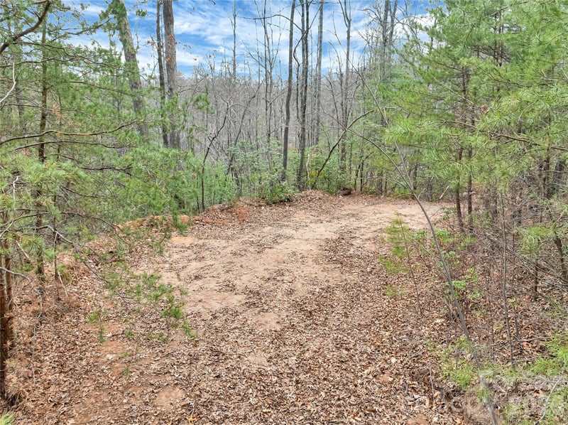 TBD Deep Woods Ln #102, Saluda, NC 28773