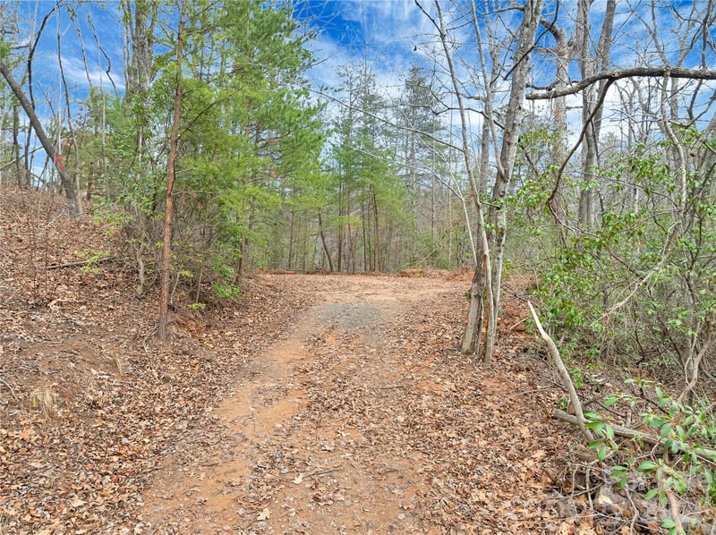 TBD Deep Woods Ln #102, Saluda, NC 28773