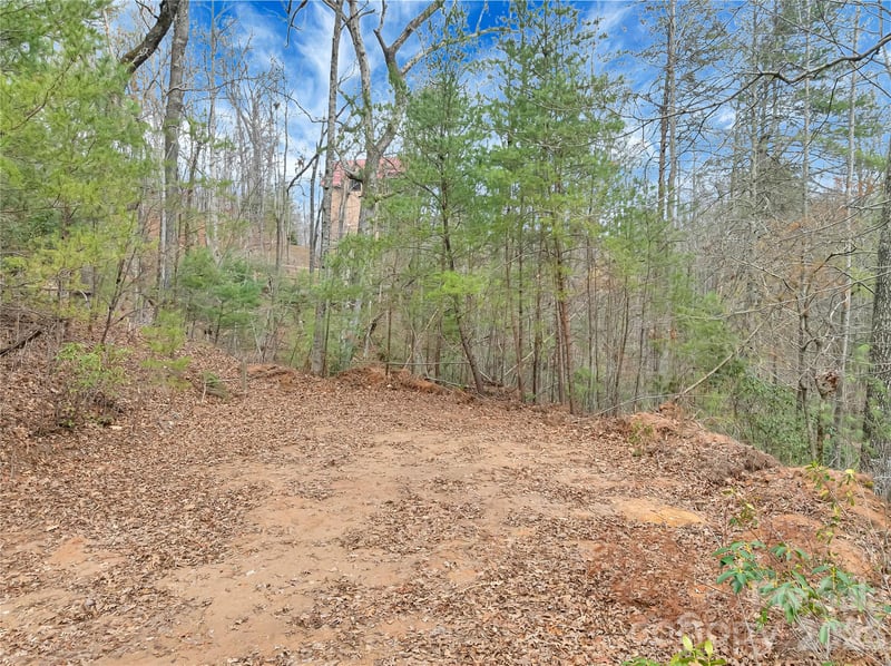 TBD Deep Woods Ln #102, Saluda, NC 28773