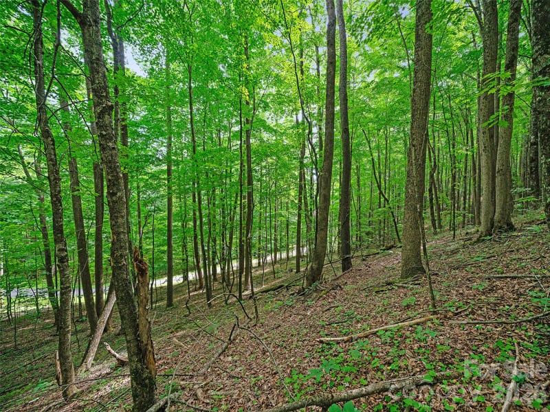 000 Shadow Moss Dr #8B, Burnsville, NC 28714