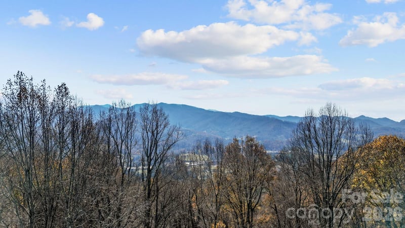10 Peacock Ln #19, Burnsville, NC 28714