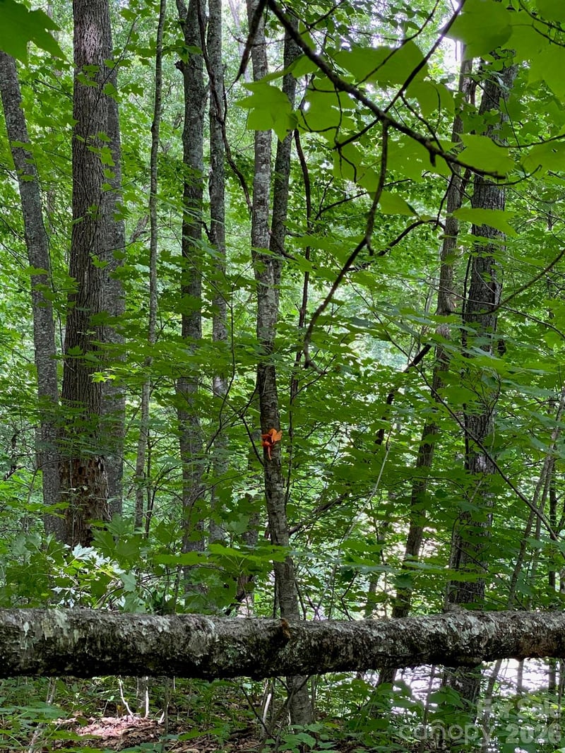 00 Aaron Way #21, Waynesville, NC 28786