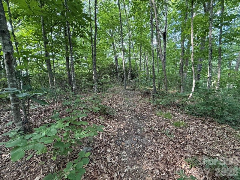 64 Clay View Dr, Fairview, NC 28730