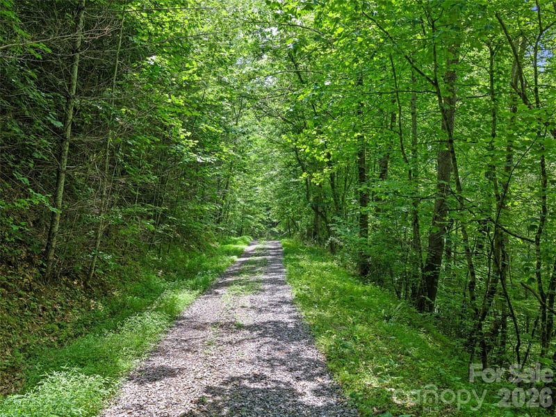 000 Hamlet Dr #1, Burnsville, NC 28714