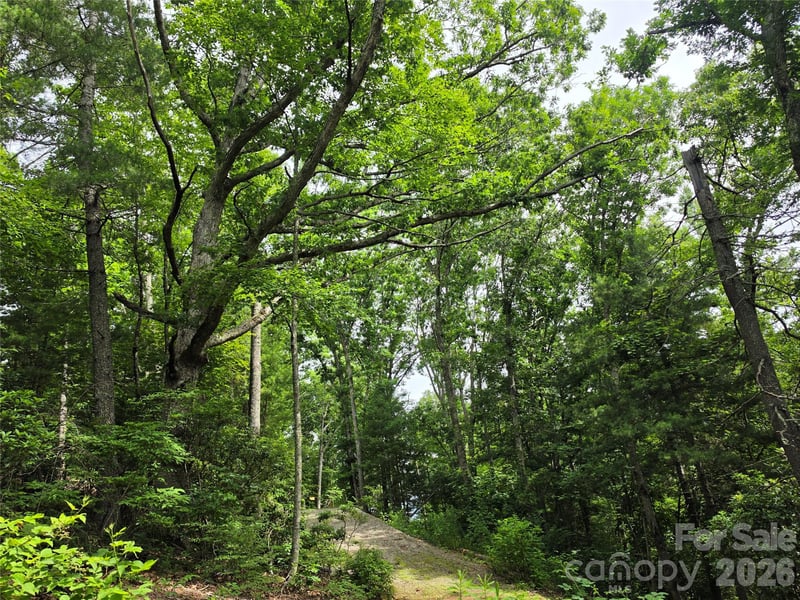 9999 Fairview Forest Dr, Fairview, NC 28730