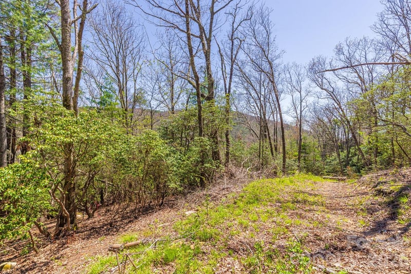 9999 Fairview Forest Dr, Fairview, NC 28730