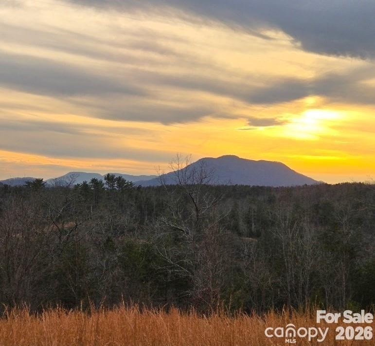 0 Price Summit Way, Mill Spring, NC 28756