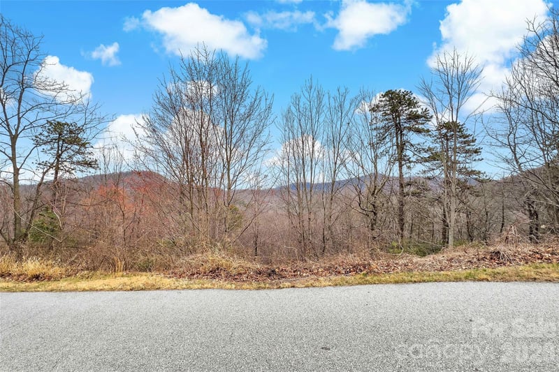 230 Catawba Falls Pw, Black Mountain, NC 28711