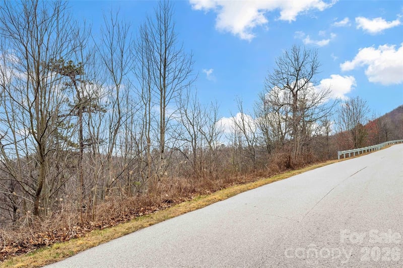 230 Catawba Falls Pw, Black Mountain, NC 28711
