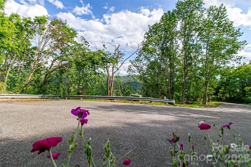 99999 Black Oak Dr #13, Asheville, NC 28804