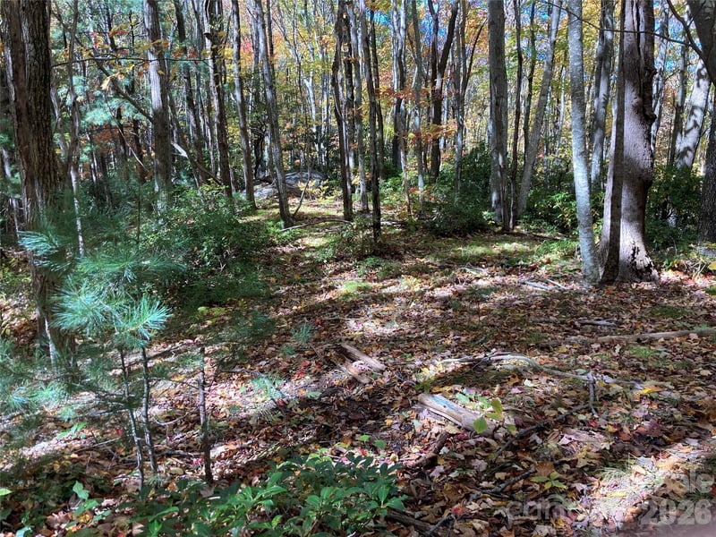 8 Carls Cove Rd, Black Mountain, NC 28711