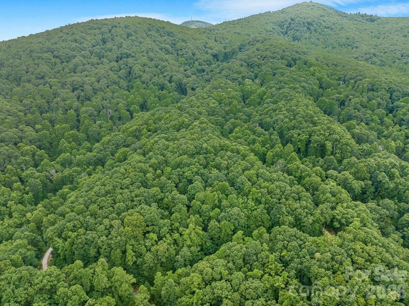 8 Carls Cove Rd, Black Mountain, NC 28711