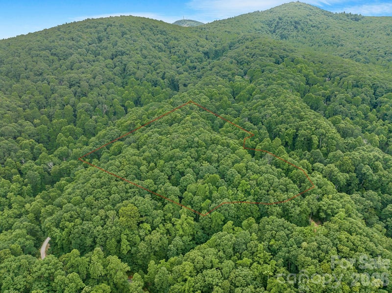 8 Carls Cove Rd, Black Mountain, NC 28711