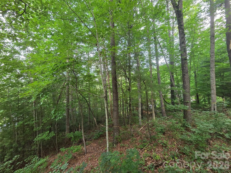 16 Courseview Dr, Weaverville, NC 28787