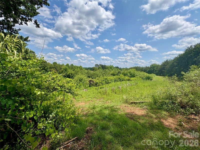 1812 Freemantown Rd, Lake Lure, NC 28746