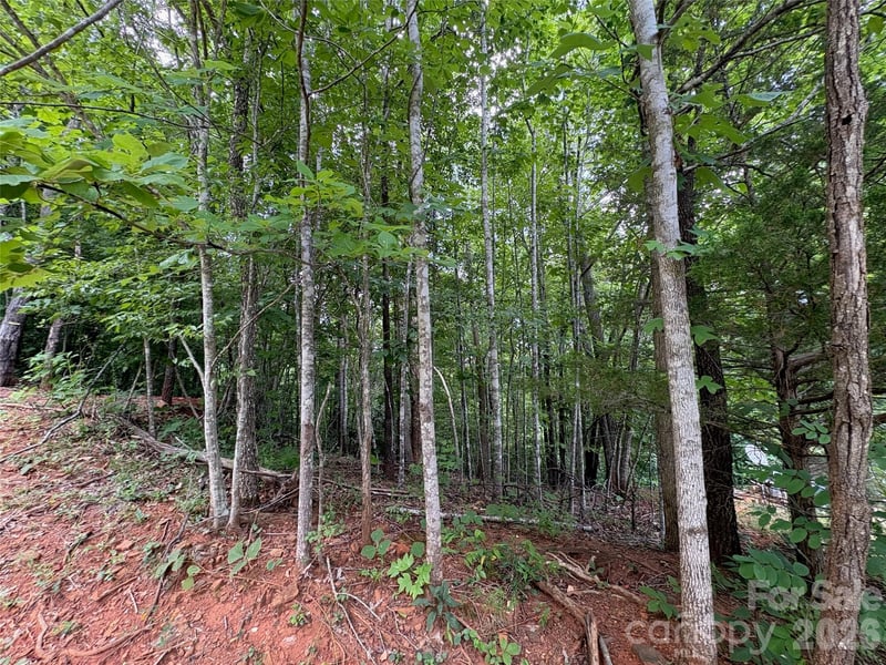 289 Champange Rg, Lake Lure, NC 28746