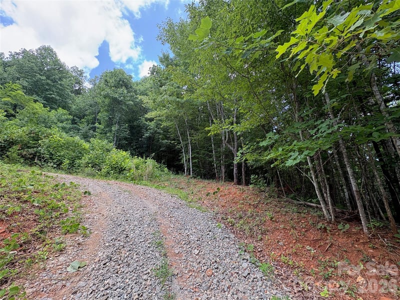 289 Champange Rg, Lake Lure, NC 28746