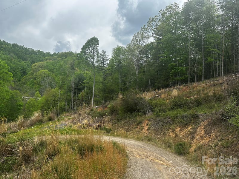 00 Mcpeters Ln, Burnsville, NC 28714