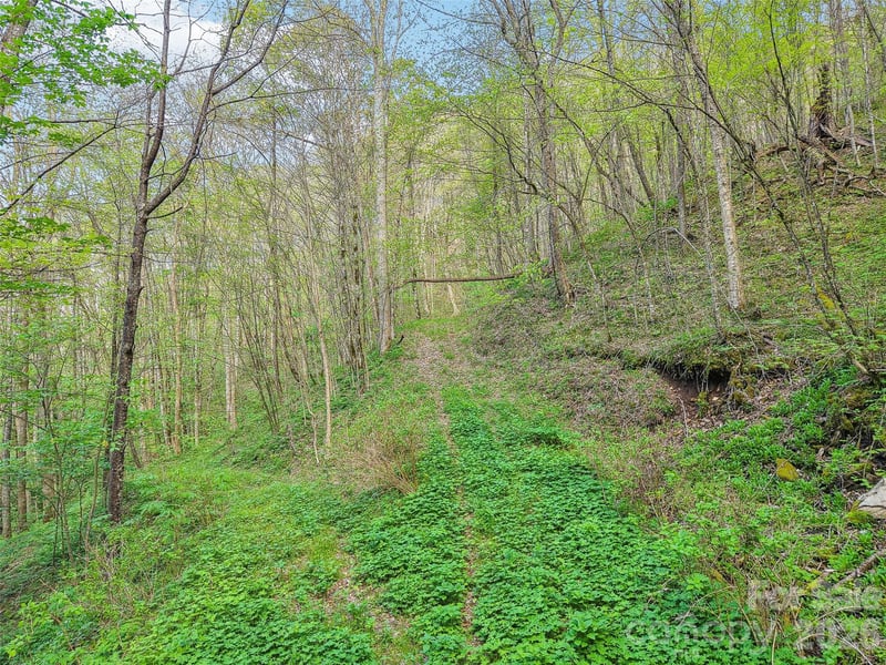00 Star Crest Dr, Waynesville, NC 28785