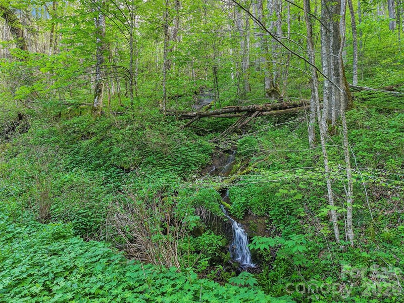 00 Star Crest Dr, Waynesville, NC 28785