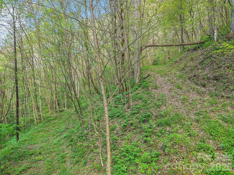 00 Star Crest Dr, Waynesville, NC 28785