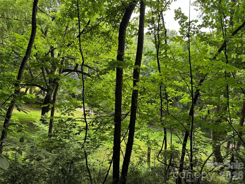 LT 18 Silverbell Ln #18, Waynesville, NC 28786