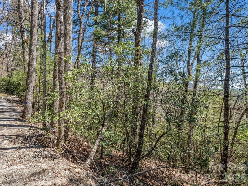 999 Bulling Creek Dr, Hendersonville, NC 28739