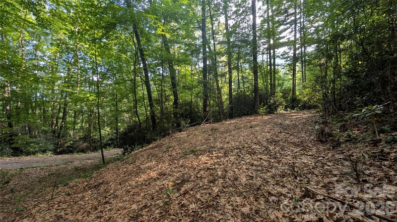 00 Chestnut Walk #3,4,5, Waynesville, NC 28786