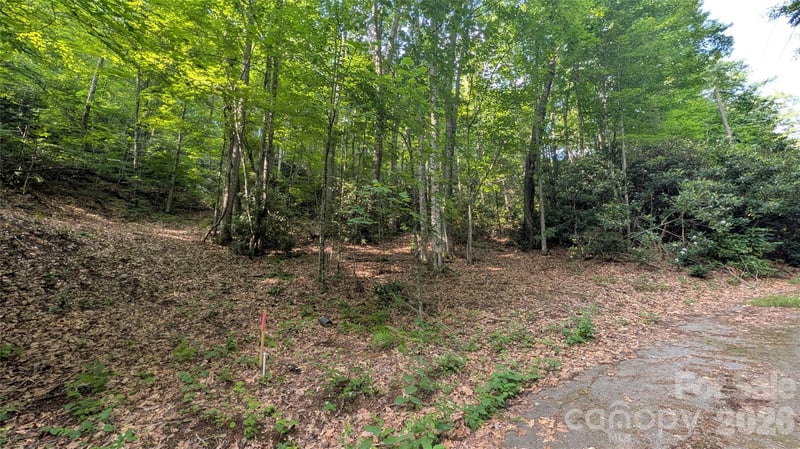 00 Chestnut Walk #3,4,5, Waynesville, NC 28786