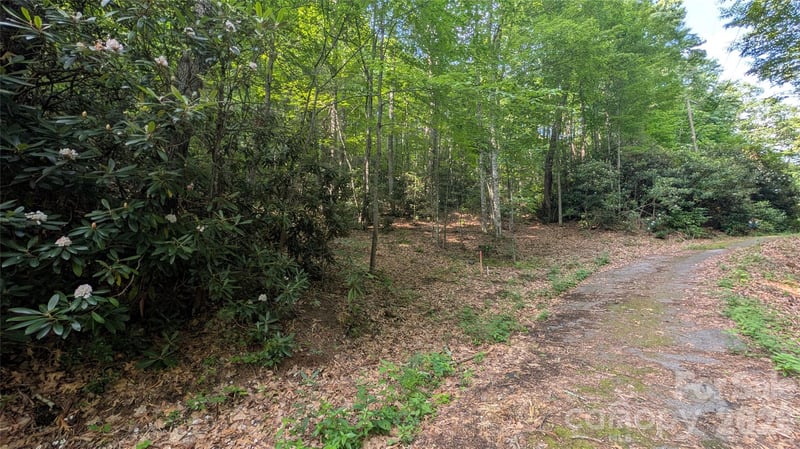 00 Chestnut Walk #3,4,5, Waynesville, NC 28786