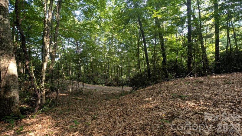 00 Chestnut Walk #3,4,5, Waynesville, NC 28786
