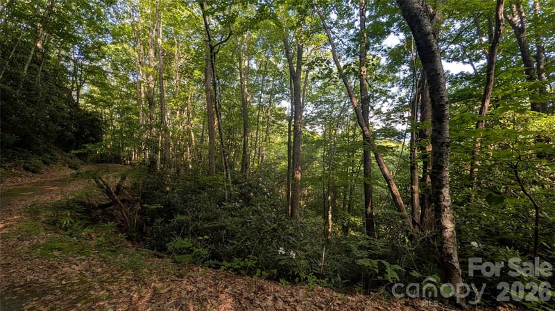 00 Chestnut Walk #6,7,8, Waynesville, NC 28786