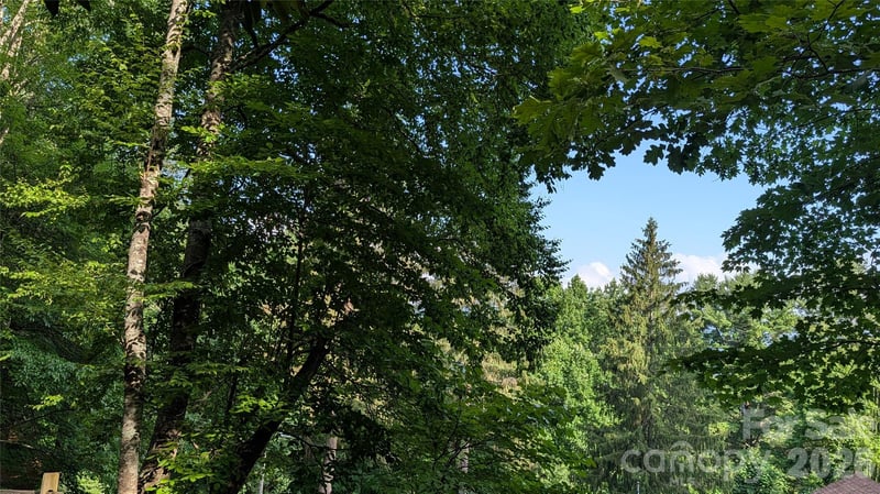 00 Chestnut Walk #6,7,8, Waynesville, NC 28786