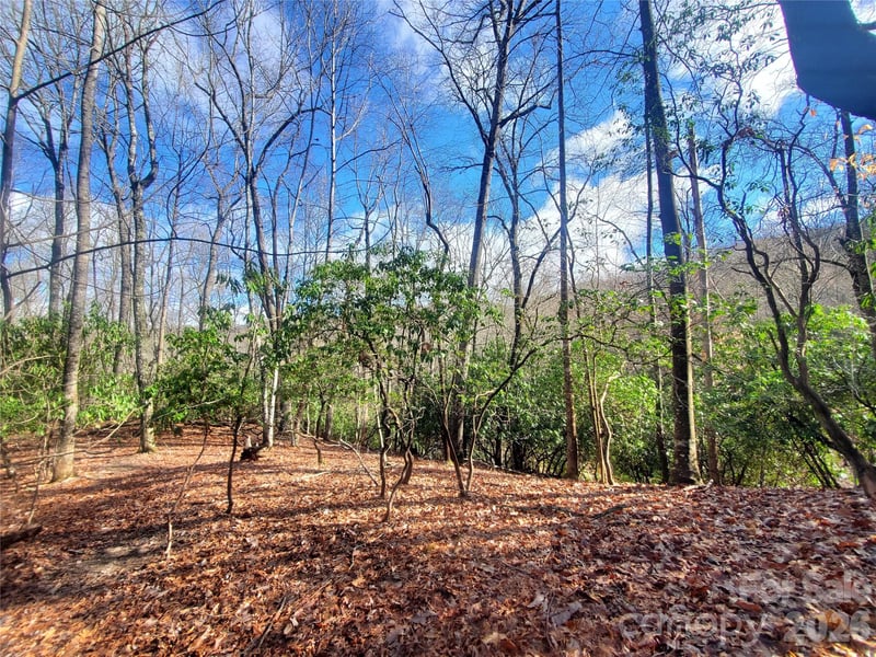 TBD Skye Dr #803a & 803b, Pisgah Forest, NC 28768